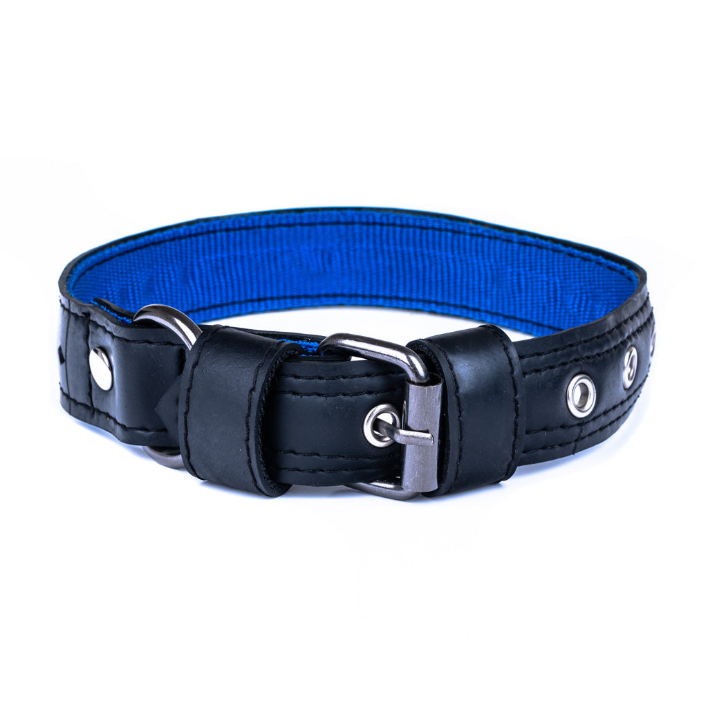 Eco Friendly Recycled Inner Tube Vegan Dog Collar-5